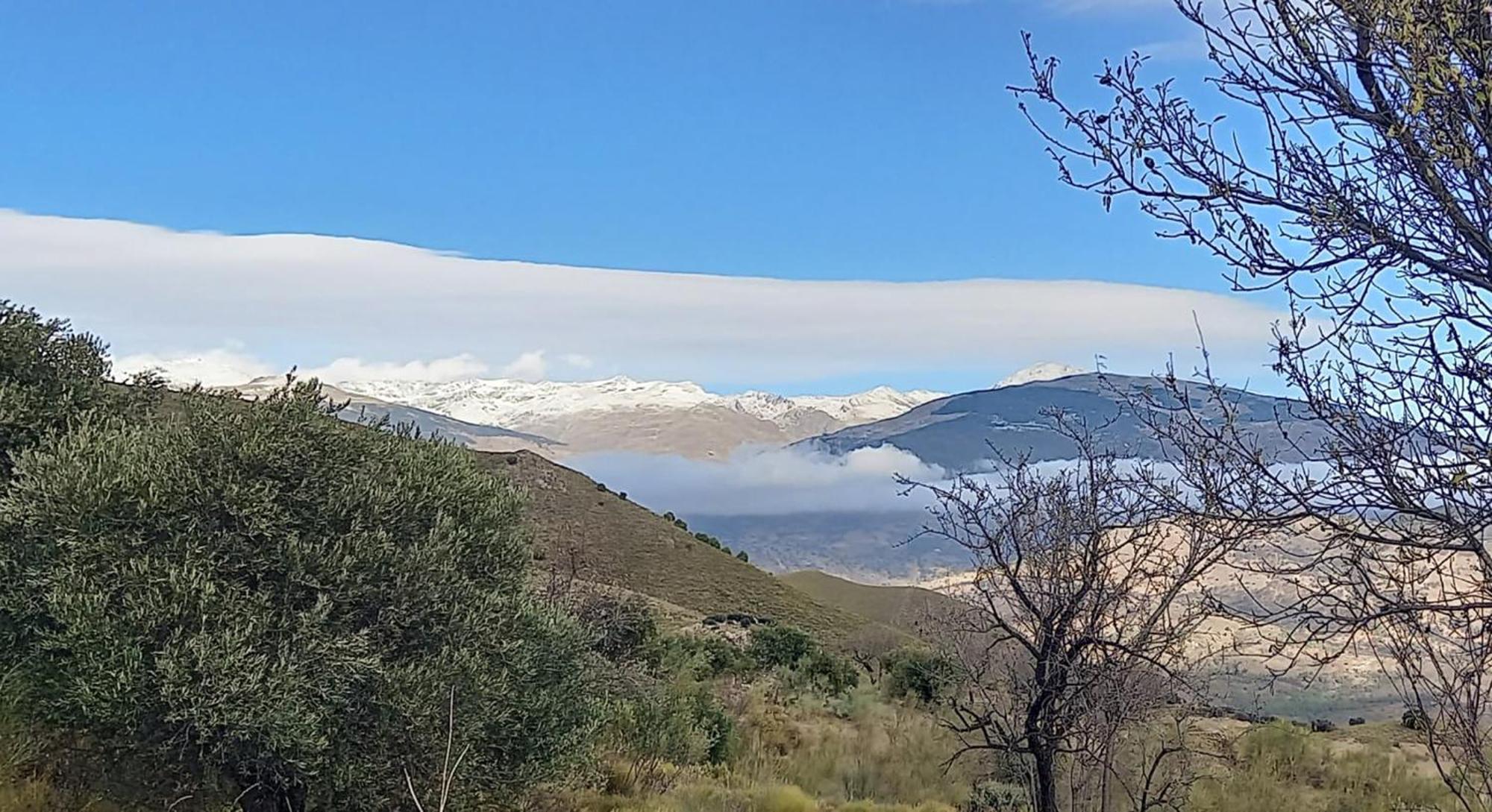 奥尔希瓦Cortijo La Vista别墅 外观 照片