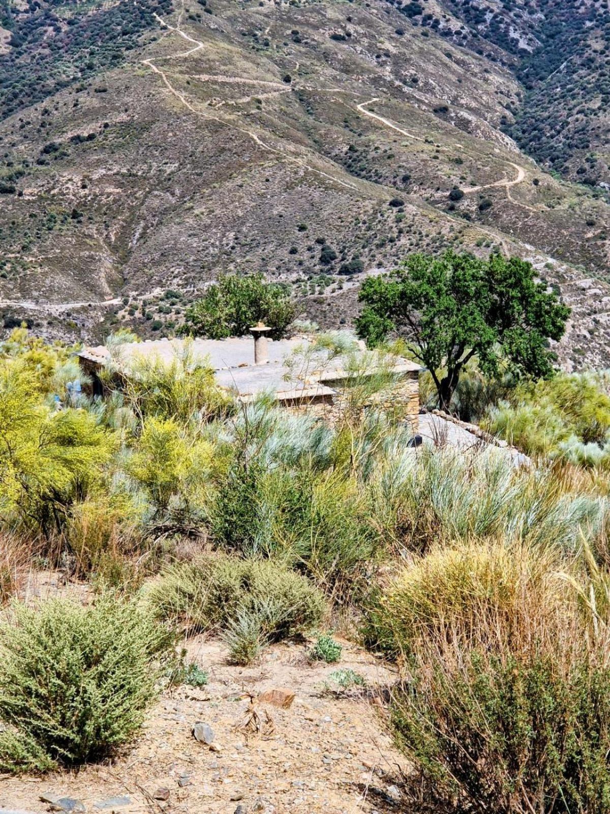 奥尔希瓦Cortijo La Vista别墅 外观 照片