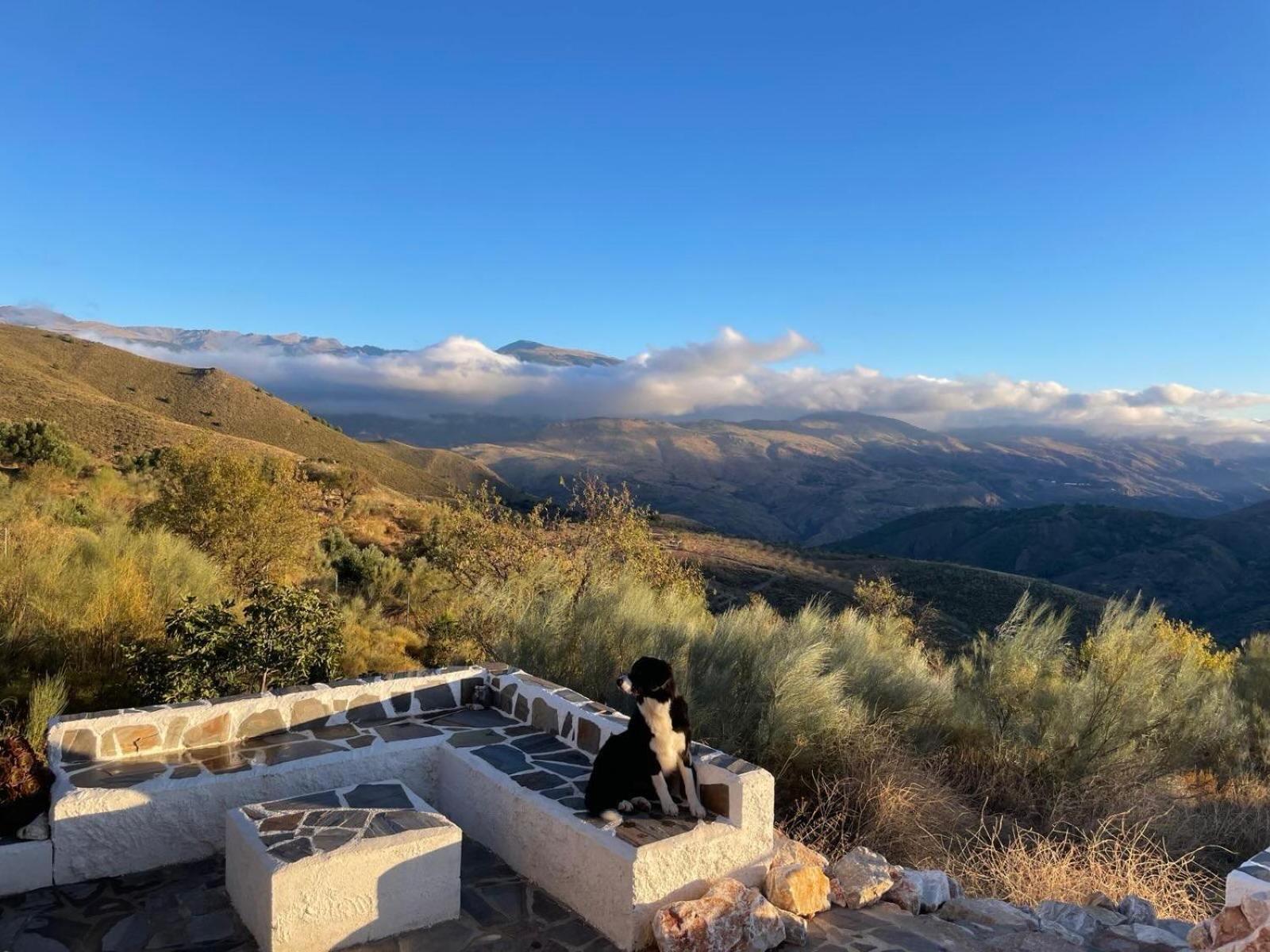 奥尔希瓦Cortijo La Vista别墅 外观 照片